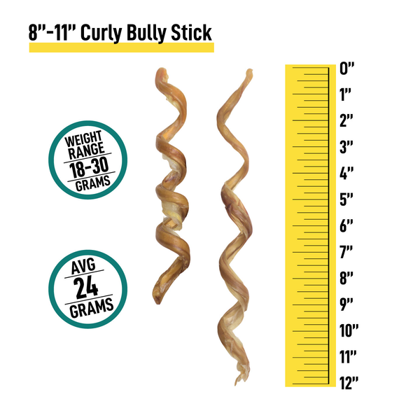 Curly Bully Sticks for Dogs - 8-11 Inch - 6 Count - Best Dog Chews and Treats