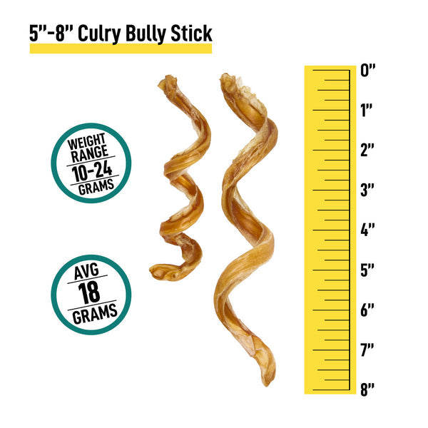 Curly Bully Sticks for Dogs - 5-8 Inch - 6 Count - Best Dog Chews and Treats
